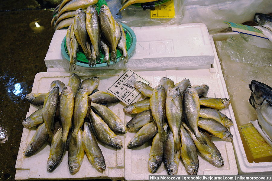 98 Знаменитый рыбный рынок в Сеуле 