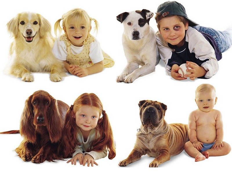 BIGPIC42 Дети и собаки