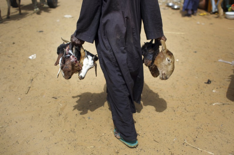 niger23 800x529 Нигер   голод заставляет жителей продать последнего верблюда