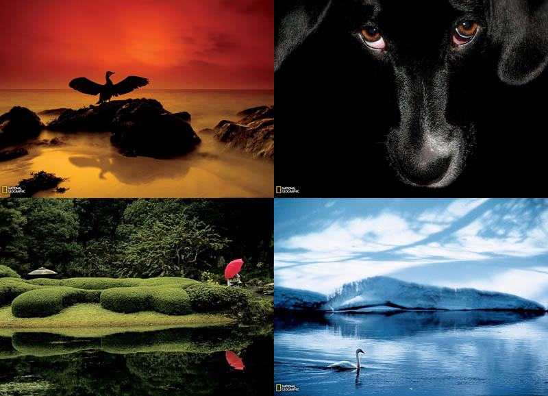 BIGPIC50 Фотошкола National Geographic: Использование цветовой палитры в снимках