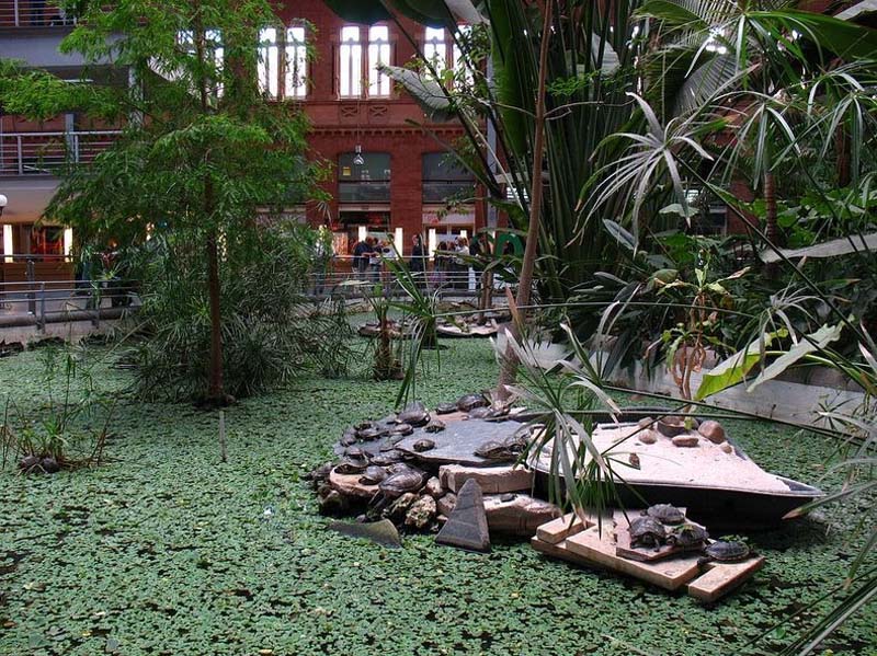 Botanical Garden at the train station of Atocha in Madrid.