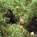 David Attenborough01 150x150 Лучшие фотографии диких животных за 2013 год