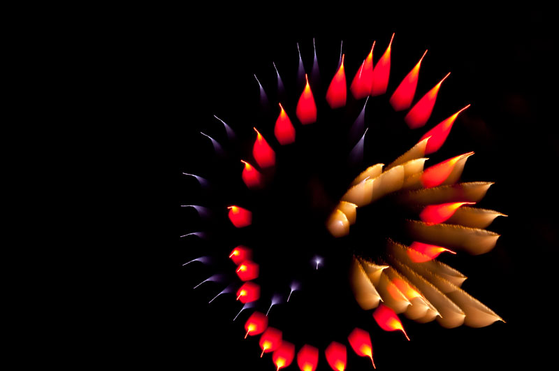 Long Exposure Fireworks 4 Фейерверк, каким вы его еще не видели