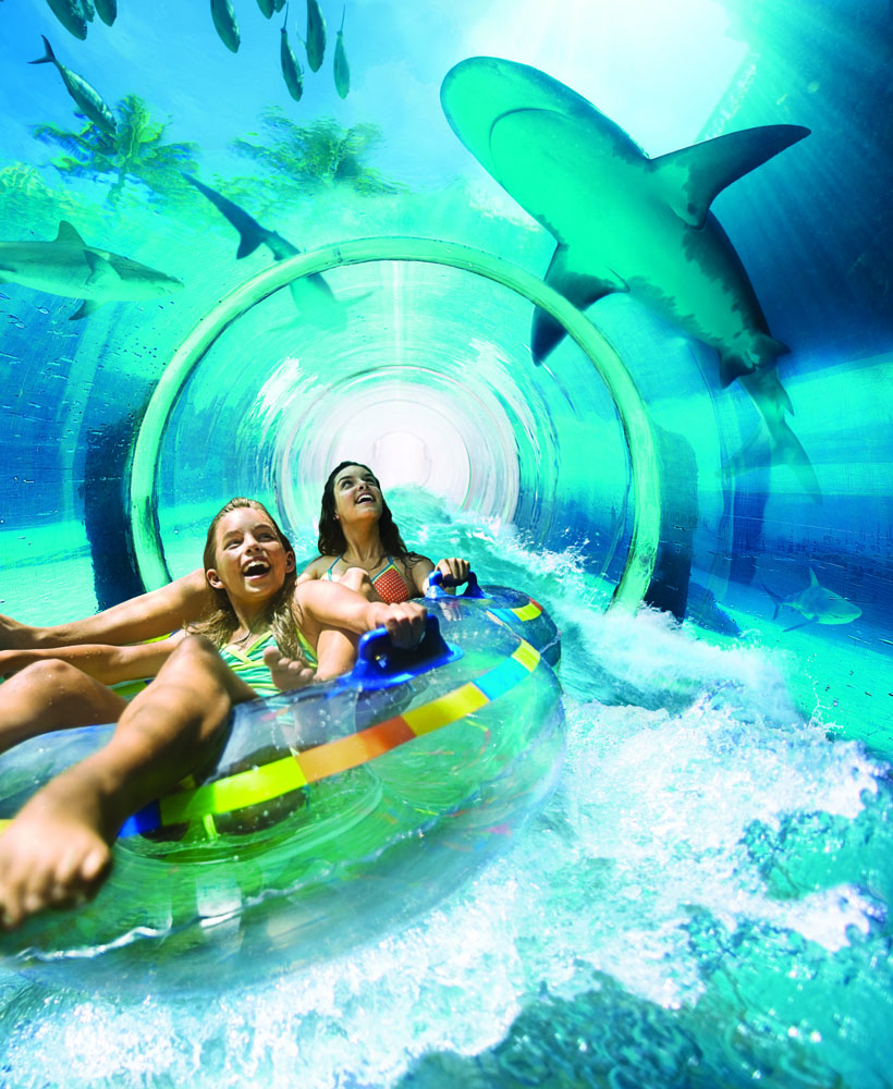 Shark Attack Aquaventure Сказка наяву – роскошный отель Атлантис в Дубаи