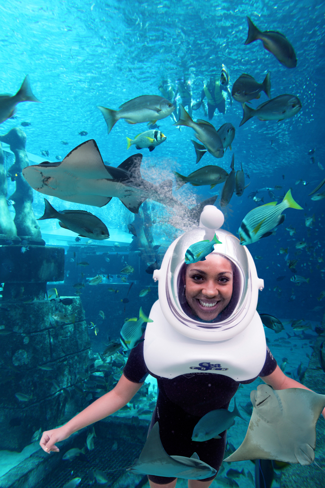 Shark Safari at Aquaventure Сказка наяву – роскошный отель Атлантис в Дубаи
