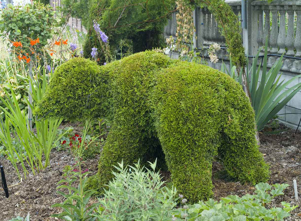 Topiary10 Топиари зеленое искусство