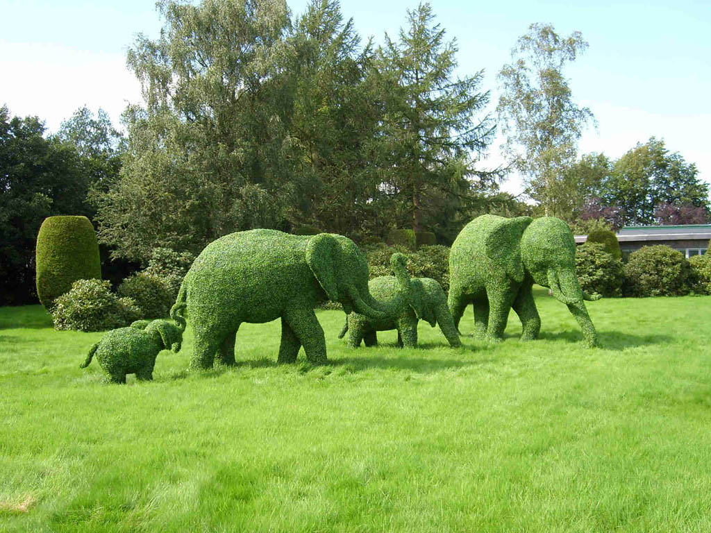 Topiary12 Топиари зеленое искусство