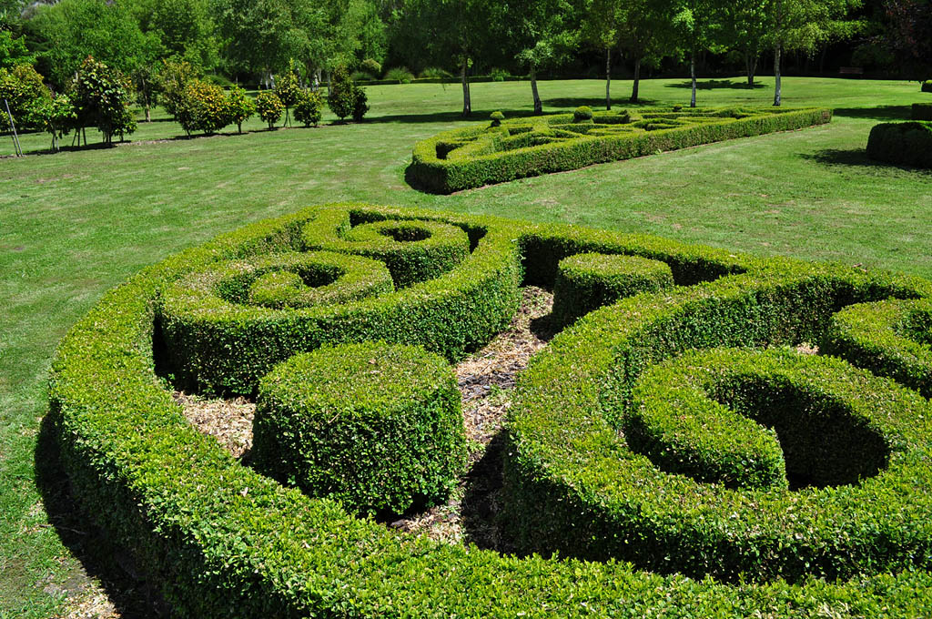 Topiary15 Топиари зеленое искусство