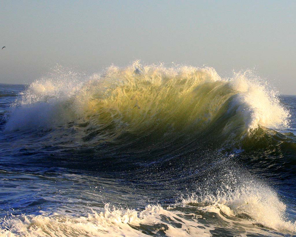 Waves by Bill Dalton 10 Красота волн