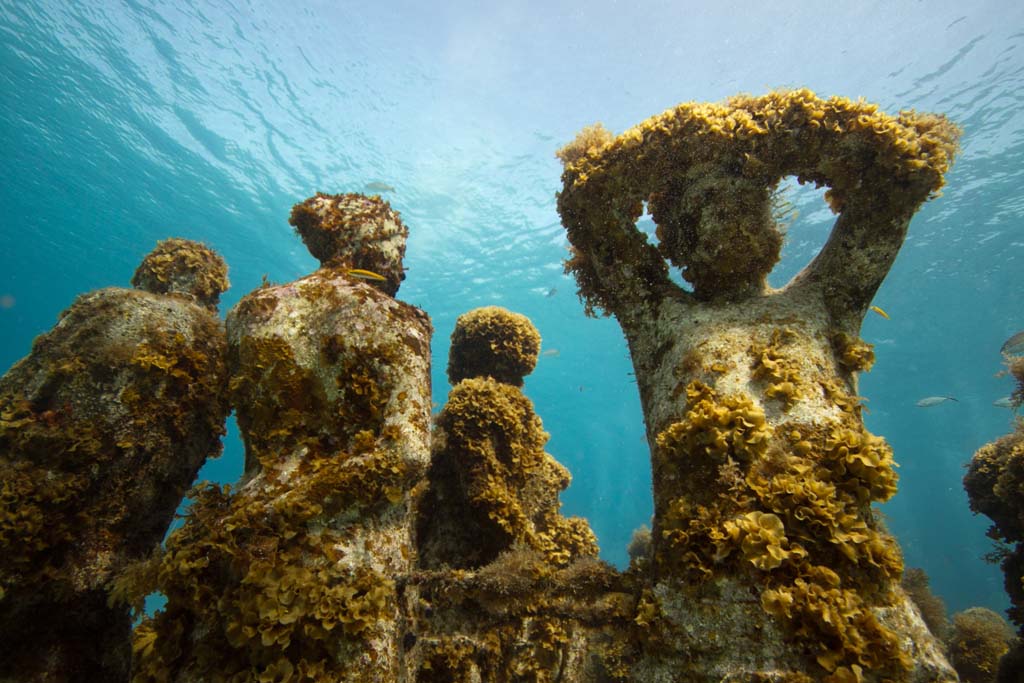 A Monumental Underwater Museum 12 И снова подводный музей МУЗА