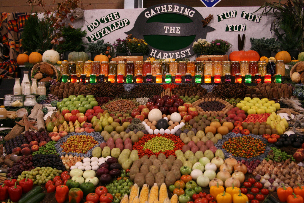 Artful Displays of Vegetables 8 Красочные овощные мозаики на выставках и ярмарках