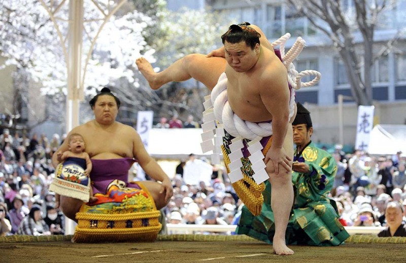 sumo 2 800x520 Борьба сумо