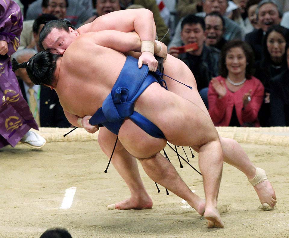 sumo 4  