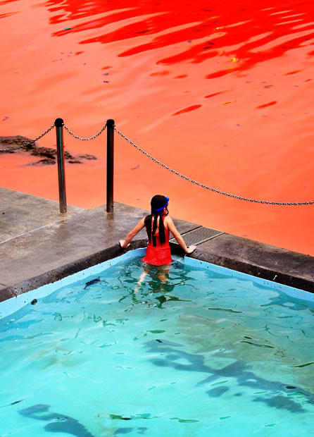 krovavoaliokean 5 Вода на пляжах Австралии окрасилась кроваво красным, напугав отдыхающих