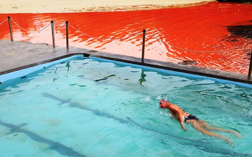 krovavoaliokean 9 Вода на пляжах Австралии окрасилась кроваво красным, напугав отдыхающих