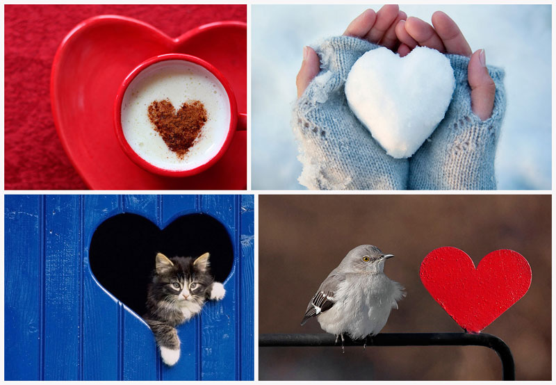 BIGPIC Ко дню Святого Валентина: Сердца, всюду сердца!