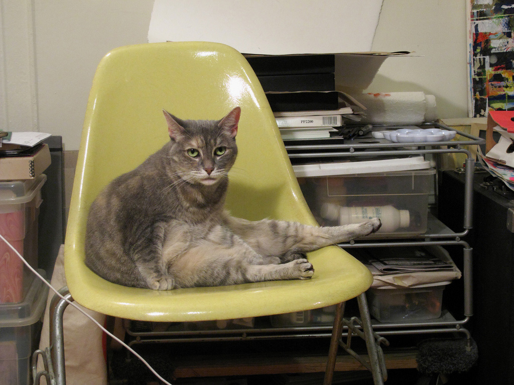Cats Love Eames 6    