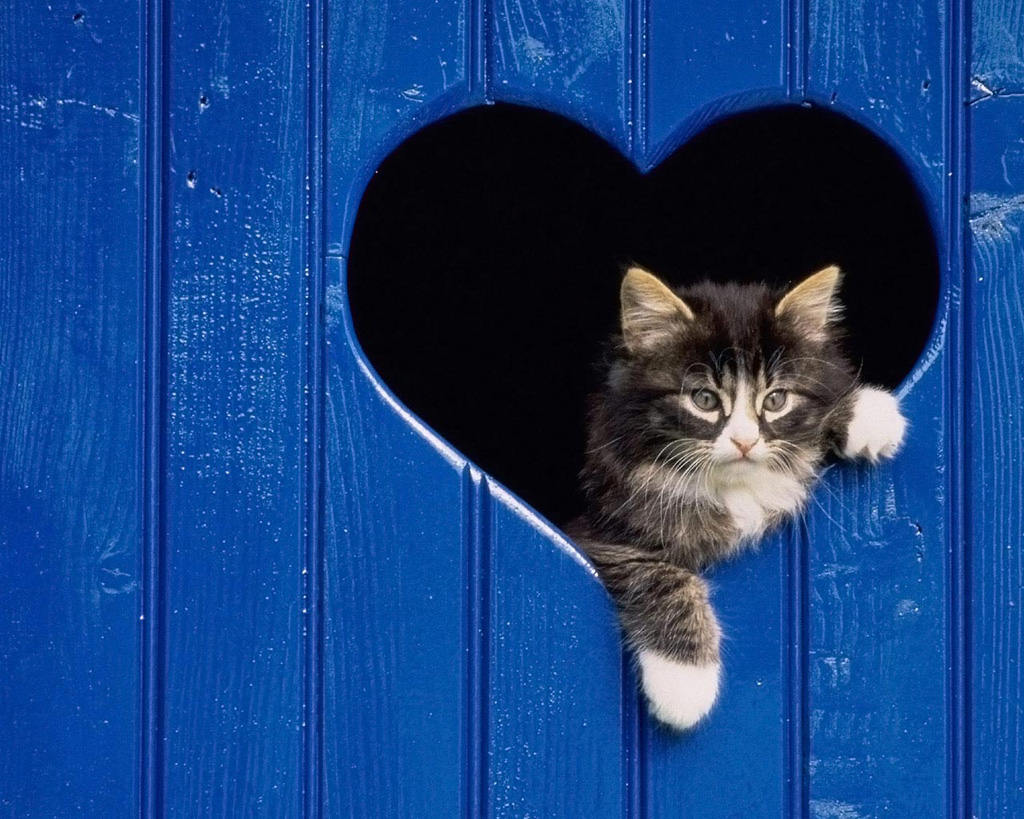 Heart 6 Ко дню Святого Валентина: Сердца, всюду сердца!