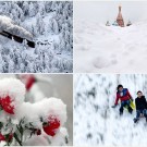 Снежный декабрь 2012