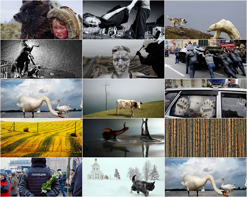TEMP60 Best of Russia 2012: год из жизни России в самых ярких и неординарных фотографиях