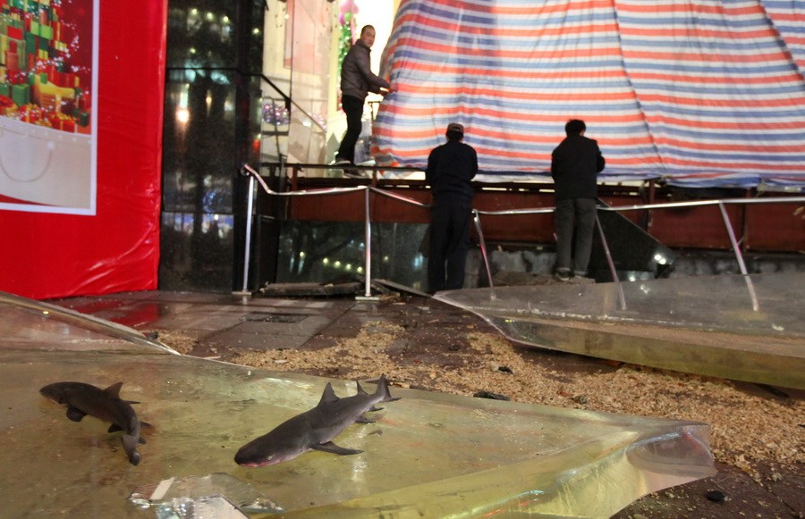 aquarium04 В китайском торговом центре лопнул гигантский аквариум