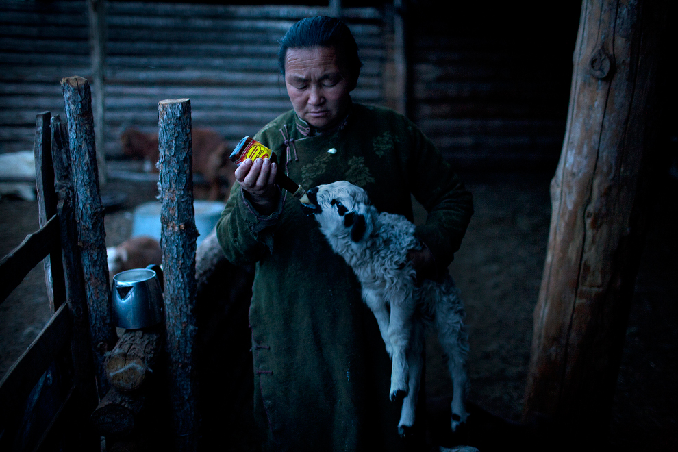 nomade06 Vanishing Cultures Project: Монгольские кочевники