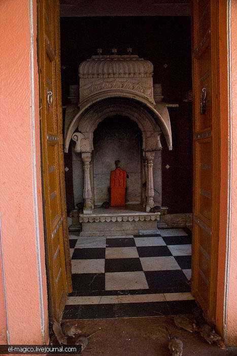 KarniMata10 Temple 20000 sobolani vii
