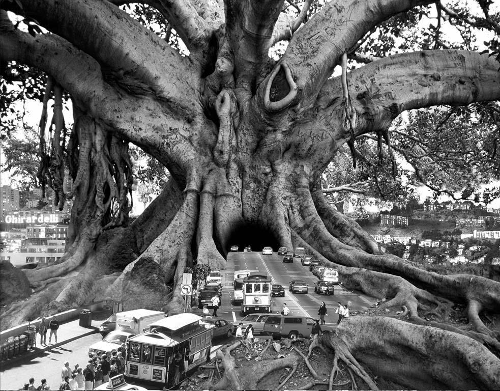 surrealizm 1 Surrealism in the works of Thomas Barbey