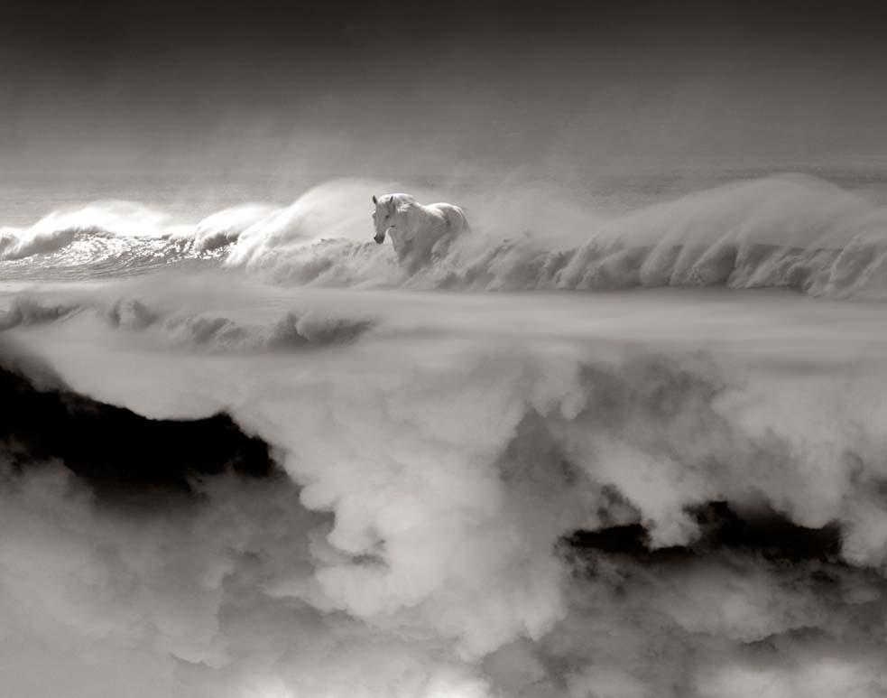 surrealizm 9 Surrealism in the works of Thomas Barbey