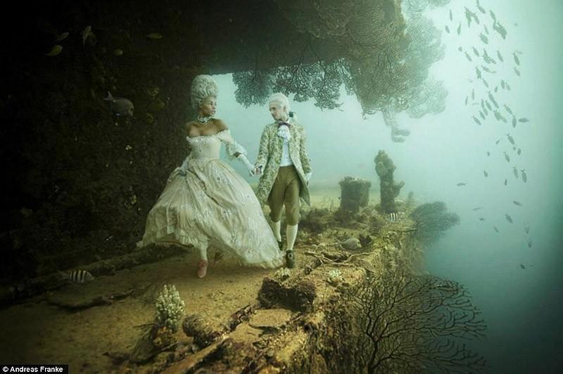 underwater01 Невероятная подводная фотогалерея Андреаса Франке