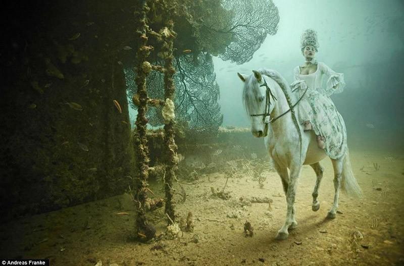 underwater02 Невероятная подводная фотогалерея Андреаса Франке