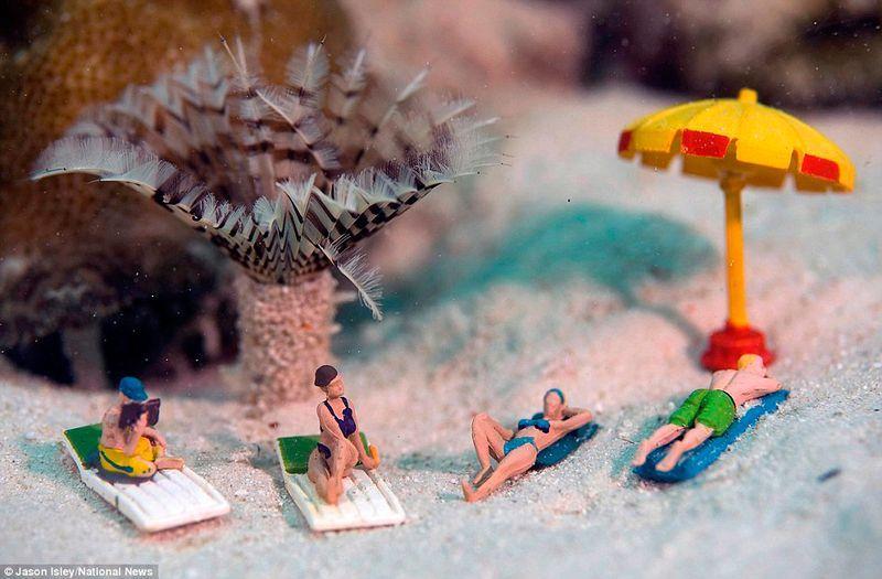 undewater17 Веселые креативные сцены в подводных миниатюрах