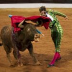 Bullfighter08 150x150 Испанские быки одержали историческую победу