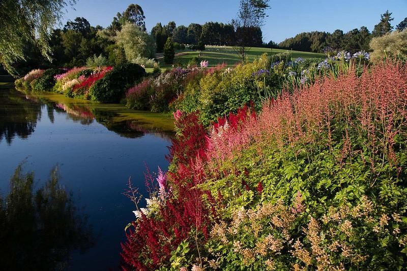 mapleglen14 Восхитительный сад Maple Glen в Новой Зеландии
