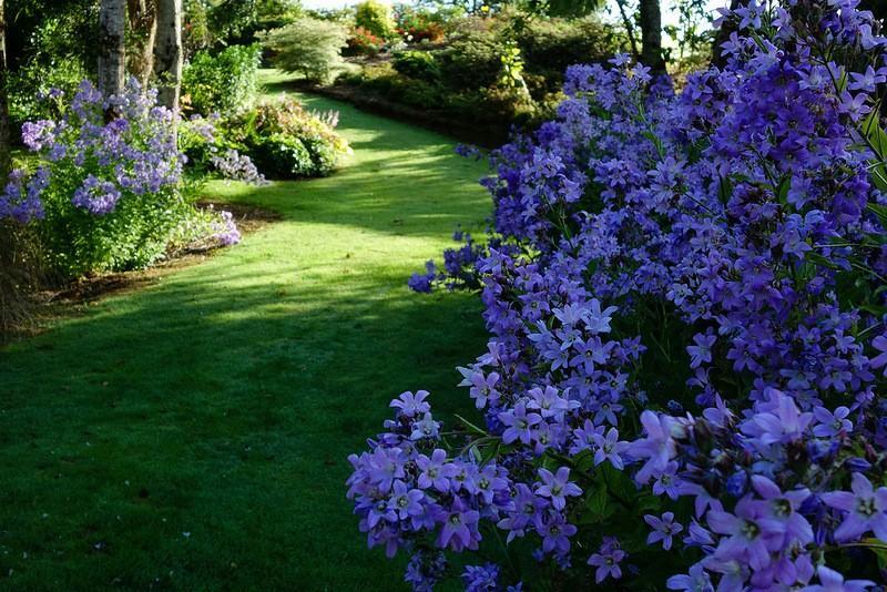 mapleglen15 Восхитительный сад Maple Glen в Новой Зеландии