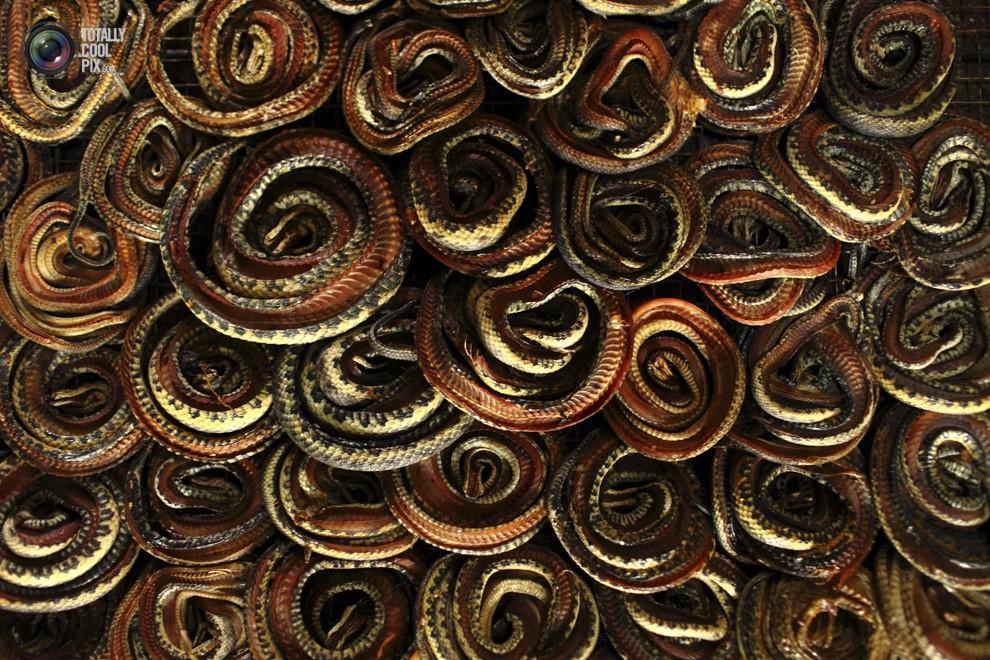 snakeskin05 Как изготавливаются сумки из змеиной кожи