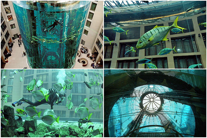BIGPIC38 Aquadom — огромный аквариум в отеле Radisson Blu