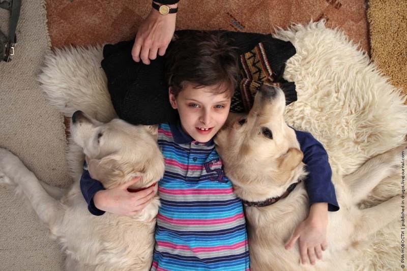 kanisterapiya 1 800x533 Канис терапия: как собаки помогают больным детям