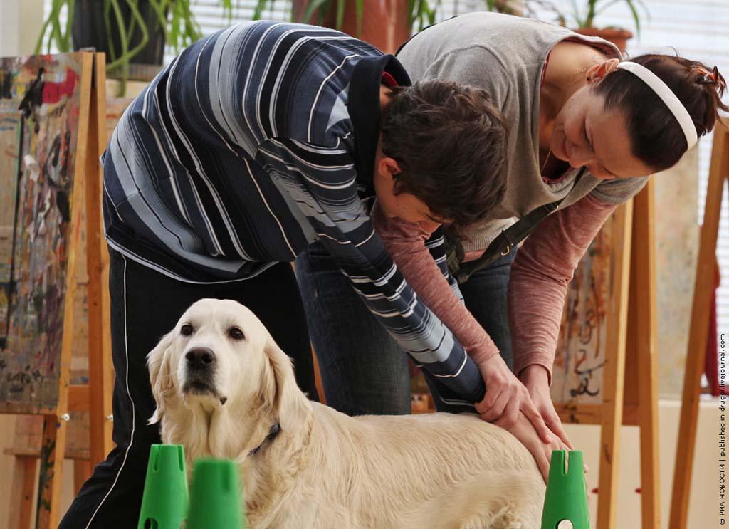 kanisterapiya 10 Канис терапия: как собаки помогают больным детям