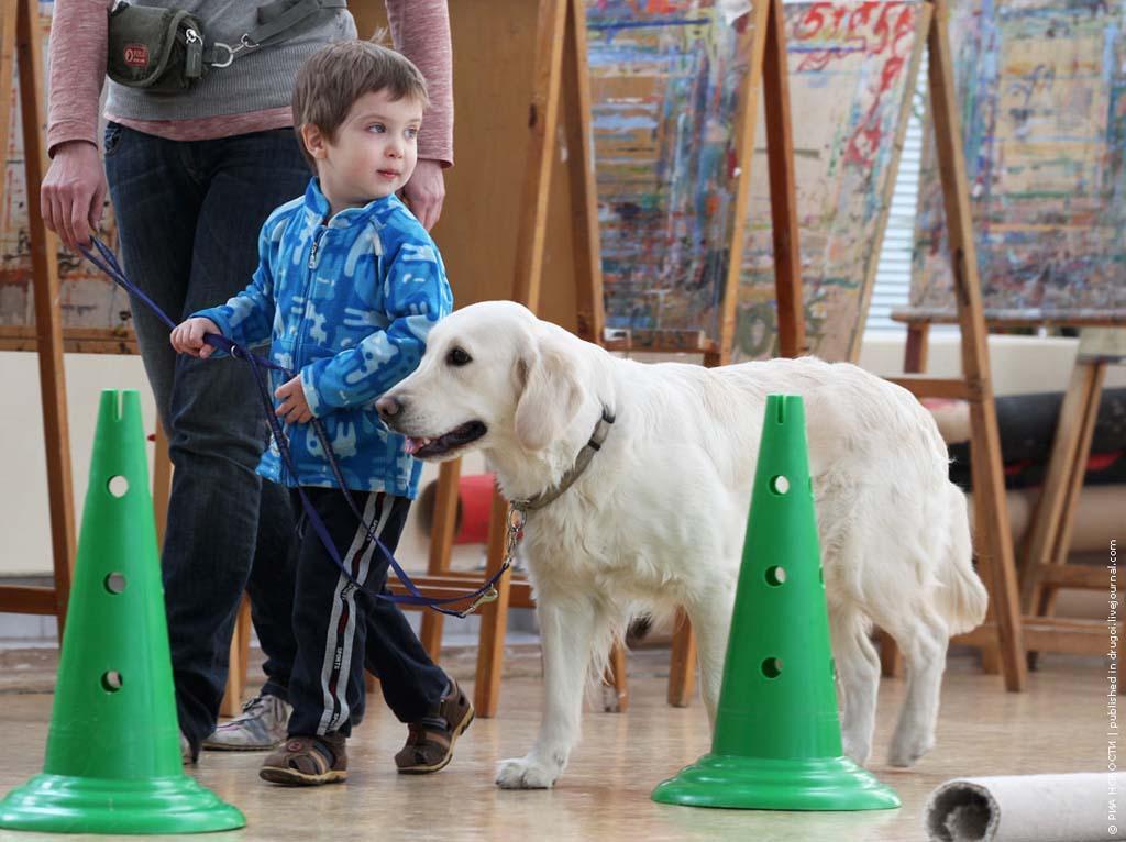 kanisterapiya 5 Канис терапия: как собаки помогают больным детям