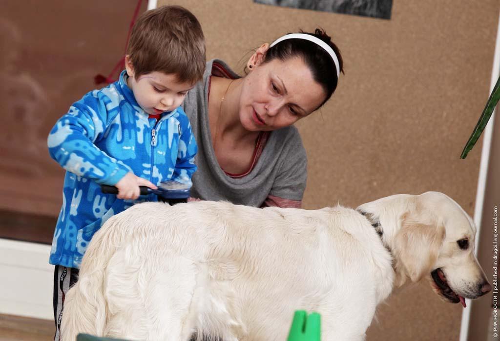 kanisterapiya 9 Канис терапия: как собаки помогают больным детям
