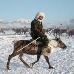 reindeer00 800x5331 150x150 Что такое настоящая якутская строганина