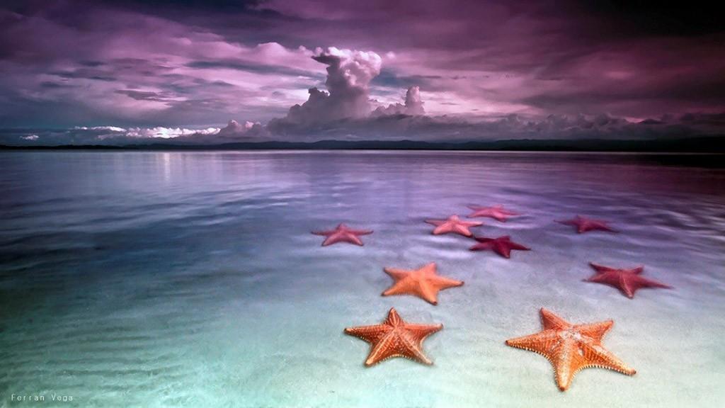 BocaDelDrago13 Пляж морских звезд — Бока дель Драго
