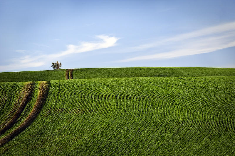 Palouse 6 Изумрудные холмы Палуз