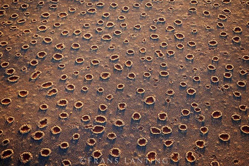 mysterious fairy circles of namibia 2 Таинственные круги Намибии