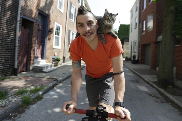 CyclistandCat19 Велосипедист и его кошка