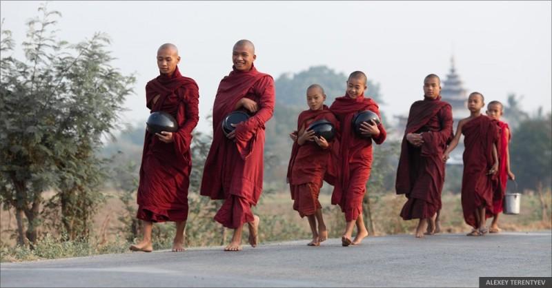 Myanmar02 800x418 Рассвет над рисовыми полями и кормление монахов