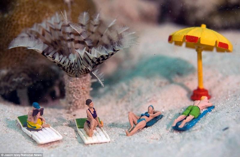 underwater01 800x525 Подводная жизнь игрушек