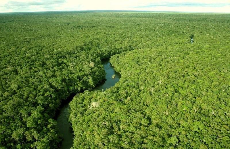 Amazonas01 Большое фотопутешествие по лесам Амазонки