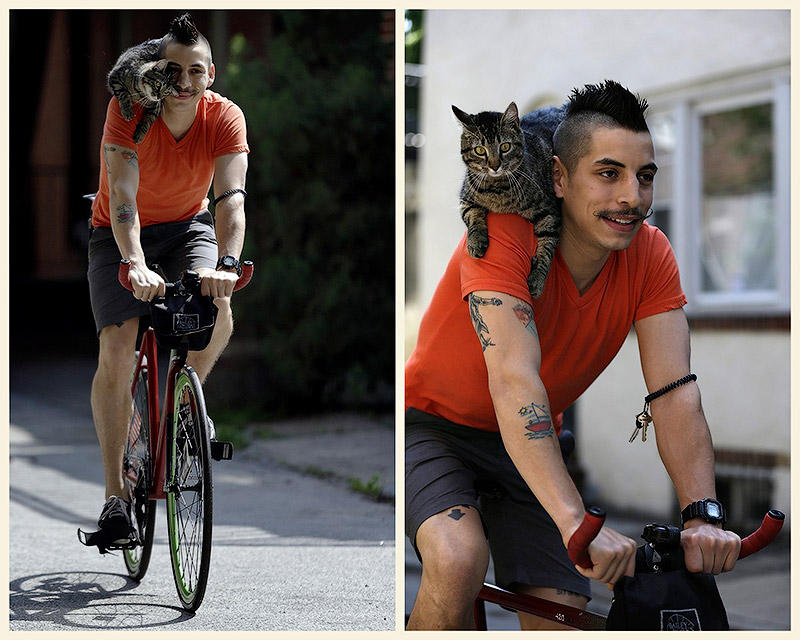 BIGPIC3 Велосипедист и его кошка